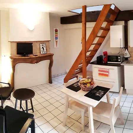 Beau Duplex En Plein Centre-ville Dijon