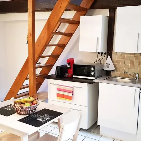 Beau Duplex En Plein Centre-ville * Dijon